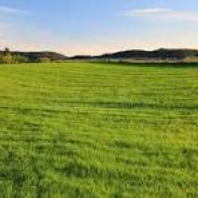 reeltor official Profile Picture