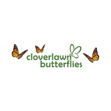 Cloverlawn Butterfli