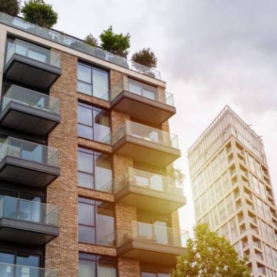 reeltor reeltor Profile Picture