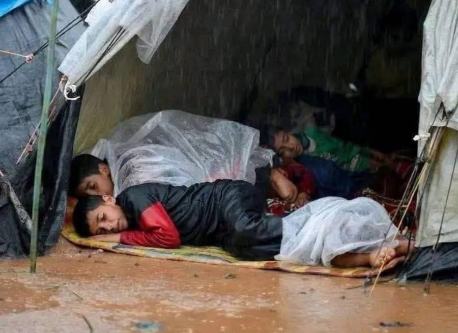 Ложная картинка нормальности: почему в Газе продают люксовые смартфоны на фоне голода