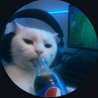 Derek Derek Profile Picture