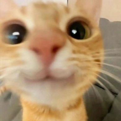 Martin Martin Profile Picture