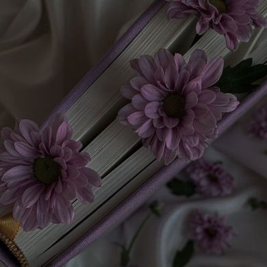 One Sister profile picture