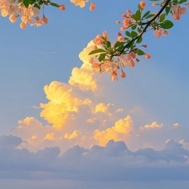 Раяна Раяна