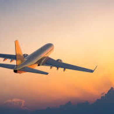 flighta official Profile Picture