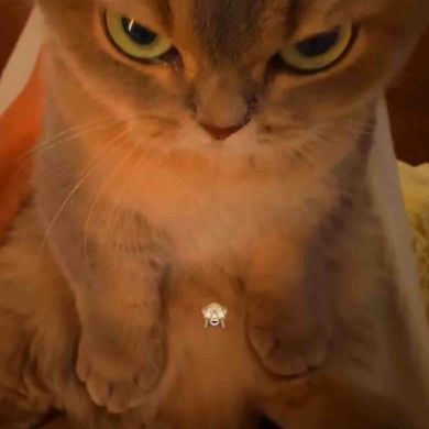 Хадижа Ибрагимова