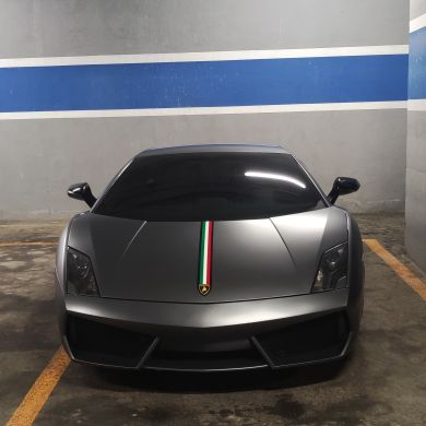 Расул Амирханов Profile Picture