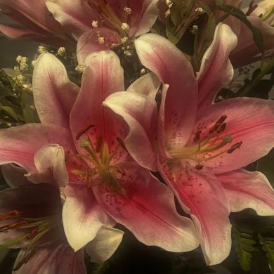 Parizoda Maxsudova Profile Picture