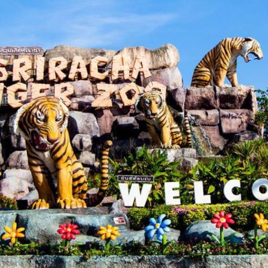 Tigertopiasrirachazoo