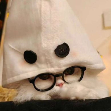 sean xiao zhang sean xiao zhang Profile Picture