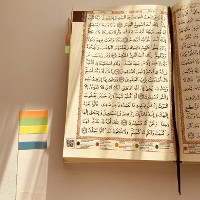 Sakina Profile Picture