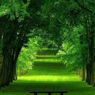 Fatima Profile Picture