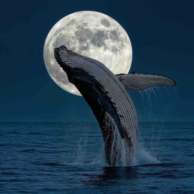 Sara_18 . Profile Picture