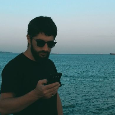 voinsgor Profile Picture