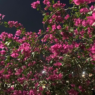 Telegram: View @sadnapominanyu