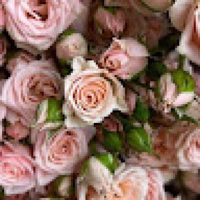 Марьям Тхашокова