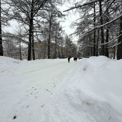 Alexander dmitriev Profile Picture