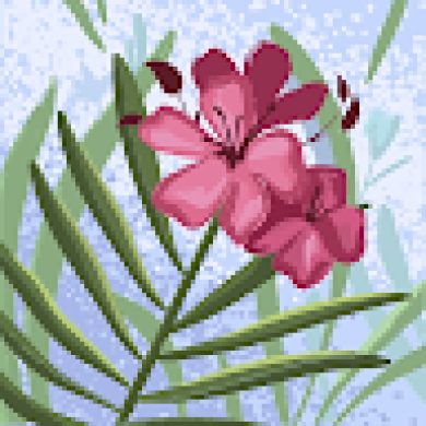 NINERGIRL JAMOLDINOVA