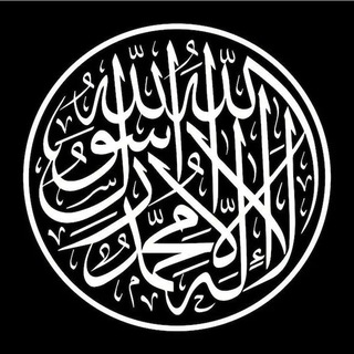 Telegram: View @SobranieSalyafitov