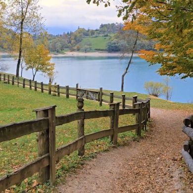 Мухаммад-Хабиб  Маго