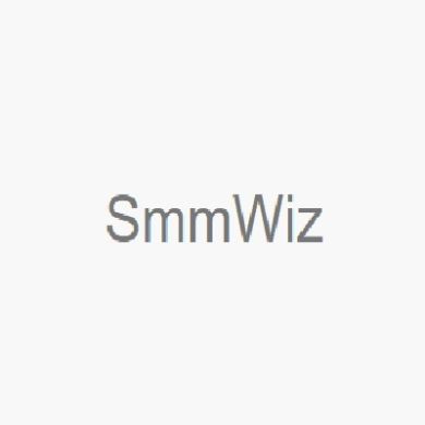 Smm wiz Profile Picture