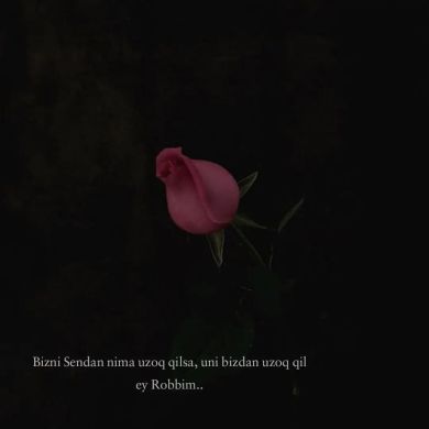 Zamira Nodirxojayevna