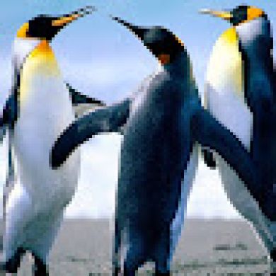 SAmat K Profile Picture