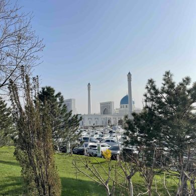 Sardor Saadvaqqosov Profile Picture