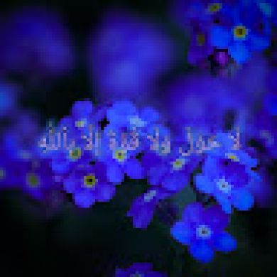 أمينة بنت عبدالله