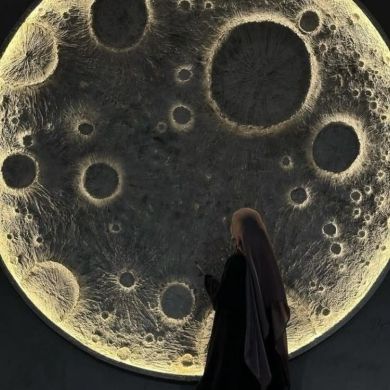 Аиша Хомидова Profile Picture