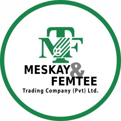 Meskay Femtee