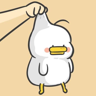 sean xiao zhang sean