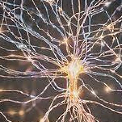 Carrie Fick Therapy Therapy