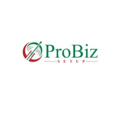 ProBiz Setup Profile Picture