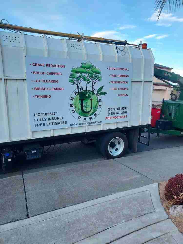 24/7 Expert Tree Care Services Vallejo, CA | Urban Tree Care