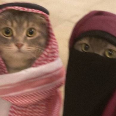 Abdulbariy Abu Khalid Profile Picture