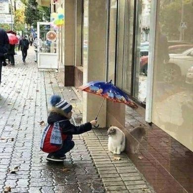 ZubayrShoshiy profile picture