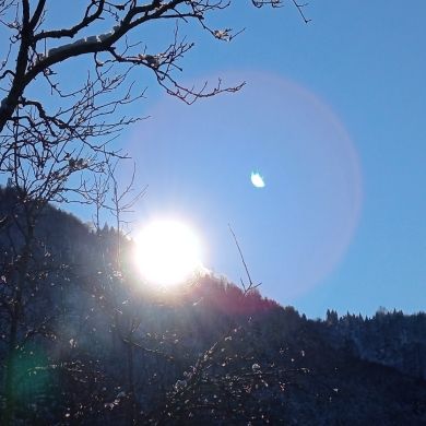 Шахида Шахида