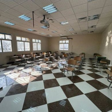 umaralievs Profile Picture