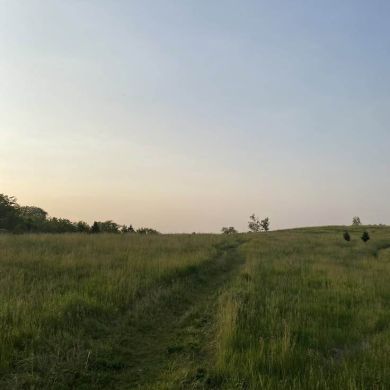 Blagoi sled Profile Picture